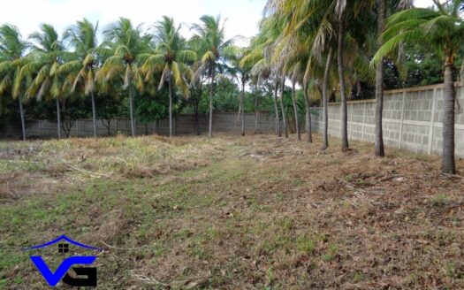 SE VENDE TERRENO EN LA BORGOÑA