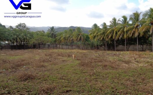 SE VENDE TERRENO EN LA BORGOÑA