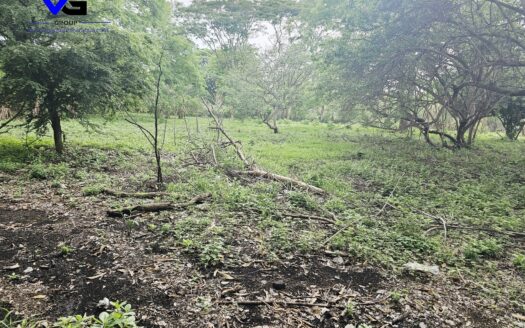 SE VENDE TERRENO EN CARRETERA MASAYA