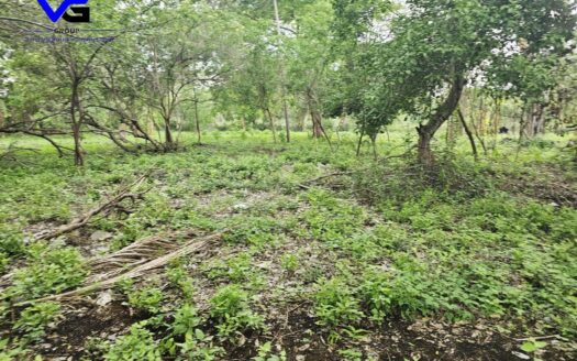 SE VENDE TERRENO EN CARRETERA MASAYA