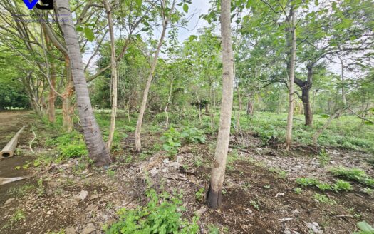 SE VENDE TERRENO EN CARRETERA MASAYA