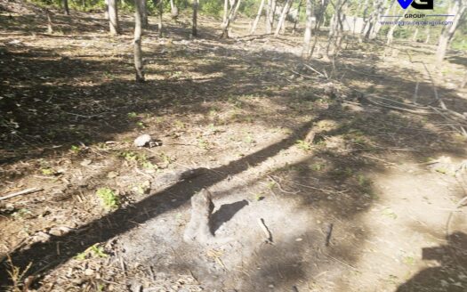 TERRENO EN JINOTEPE